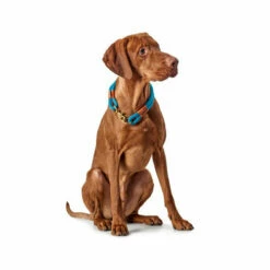 Hunter Halsband Oss 14 Hunter Halsband Oss -Trixie Verkäufe 2024 hunter halsband oss 116343 0500 none