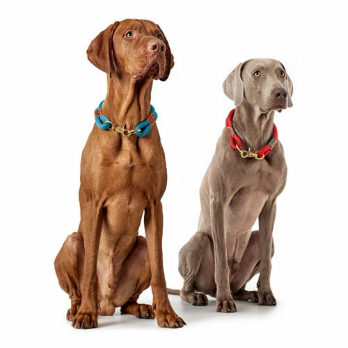 Hunter Halsband Oss 6 Hunter Halsband Oss – Bild 4