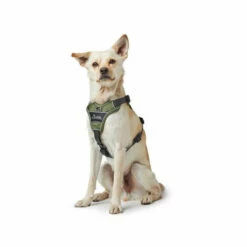 Hunter Geschirr Divo Dunkelblau/Grau 13 Hunter Geschirr Divo Dunkelblau/Grau -Trixie Verkäufe 2024 hunter harnas divo donkerblauwgrijs 166891 0500 none