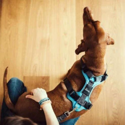 Hunter Geschirr Divo Dunkelblau/Grau 14 Hunter Geschirr Divo Dunkelblau/Grau -Trixie Verkäufe 2024 hunter harnas divo donkerblauwgrijs 166903 0500 none