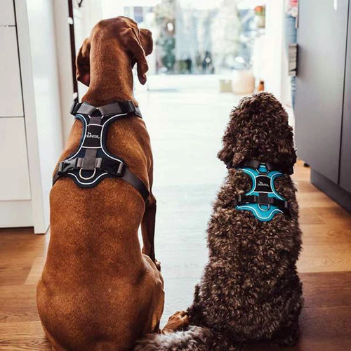 Hunter Geschirr Divo Dunkelblau/Grau 9 Hunter Geschirr Divo Dunkelblau/Grau – Bild 7