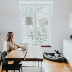 Hunter Eckkorb Livingstone - Grau 15 Hunter Eckkorb Livingstone - Grau -Trixie Verkäufe 2024 hunter hoekmand livingstone grijs 175903 0500 none