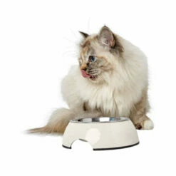 Hunter Melamin Napf - Weiß 11 Hunter Melamin Napf - Weiß -Trixie Verkäufe 2024 hunter melamine voer en drinkbak wit 169570 0500 none