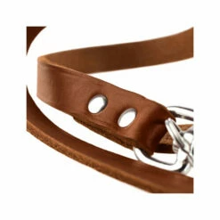 Hunter Trainingsleine - Braun 9 Hunter Trainingsleine - Braun -Trixie Verkäufe 2024 hunter trainingsriem bruin 175345 0500 none