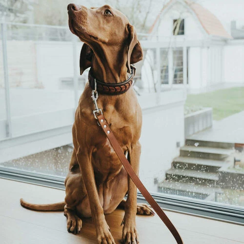 Hunter Trainingsleine - Braun 4 Hunter Trainingsleine - Braun – Bild 2