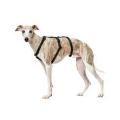 Hunter Vario Rapid Sicherheitsgeschirr - Schwarz -Trixie Verkäufe 2024 hunter vario rapid veiligheidsharnas zwart 169501 0500 none