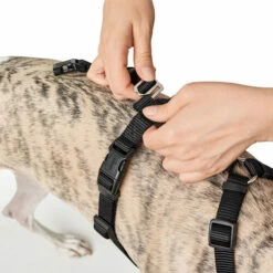 Hunter Vario Rapid Sicherheitsgeschirr - Schwarz -Trixie Verkäufe 2024 hunter vario rapid veiligheidsharnas zwart 169504 0500 none