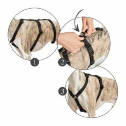 Hunter Vario Rapid Sicherheitsgeschirr - Schwarz -Trixie Verkäufe 2024 hunter vario rapid veiligheidsharnas zwart 169510 0500 none