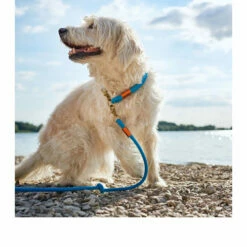 Hunter Verstellbare Führleine Oss 13 Hunter Verstellbare Führleine Oss -Trixie Verkäufe 2024 hunter verstelbare riem oss 116580 0500 none