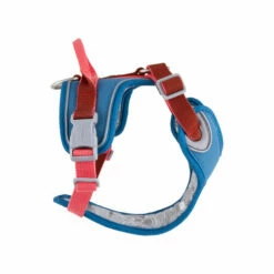 Hurtta - Geschirr Weekend Warrior Winter - Bilberry 17 Hurtta - Geschirr Weekend Warrior Winter - Bilberry -Trixie Verkäufe 2024 hurtta weekend warrior winter harnas bilberry 216609 0500 none