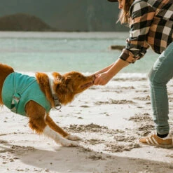 Hurtta Cooling Wrap - Hellblau -Trixie Verkäufe 2024 hurtta cooling wrap lichtblauw 178456 0500 none