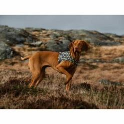 Hurtta Go Geschirr Storm Grey 9 Hurtta Go Geschirr Storm Grey -Trixie Verkäufe 2024 hurtta go harness storm grey 201305 0500 none