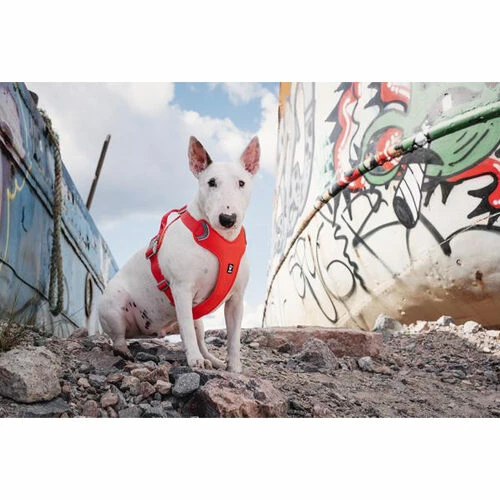 Hurtta Weekend Warrior Eco Geschirr 4 Hurtta Weekend Warrior Eco Geschirr – Bild 2