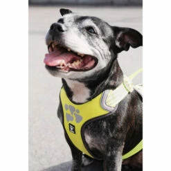 Hurtta Weekend Warrior Geschirr 30 Hurtta Weekend Warrior Geschirr -Trixie Verkäufe 2024 hurtta weekend warrior harness 189093 0500 none