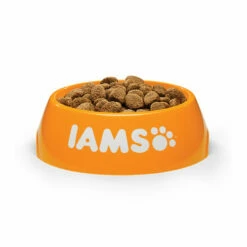 IAMS For Vitality Dog Adult Large Breed - Lamb -Trixie Verkäufe 2024 iams dog adult large breed lamb 135997 0500 none