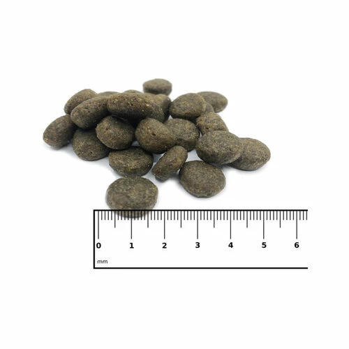 ICEPAW Nordic Pure 4 ICEPAW Nordic Pure – Bild 2