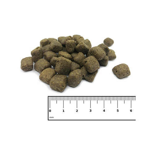 ICEPAW Reset Pure 4 ICEPAW Reset Pure – Bild 2