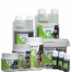 Excellent Doggy Parex