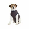 Jacketz Medical Body Suit Für Hunde -Trixie Verkäufe 2024 jacketz medical body suit hond 154117 0500 none