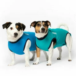 Jacketz Medical Body Suit Für Hunde -Trixie Verkäufe 2024 jacketz medical body suit hond 209516 0500 none