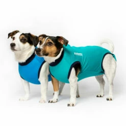 Jacketz Medical Body Suit Für Hunde -Trixie Verkäufe 2024 jacketz medical body suit hond 209519 0500 none