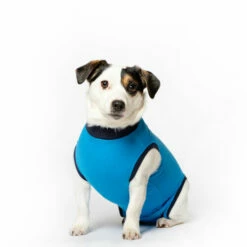 Jacketz Medical Body Suit Für Hunde -Trixie Verkäufe 2024 jacketz medical body suit hond 209522 0500 none