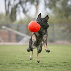 Jolly Soccer Ball -Trixie Verkäufe 2024 jolly soccer ball 162241 0500 none
