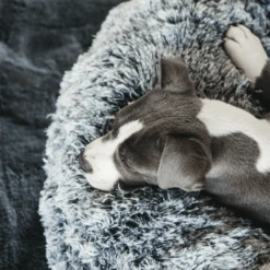 Kentucky Dogwear - Comfort Donut-Hundekorb -Trixie Verkäufe 2024 kentucky dogwear comfort donut hondenmand 219723 0500 none