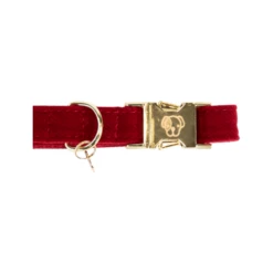 Kentucky Dogwear Corduroy Hundehalsband -Trixie Verkäufe 2024 kentucky dogwear corduroy hondenhalsband 219199 0500 none