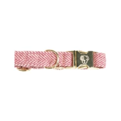 Kentucky Dogwear Hundehalsband Wool -Trixie Verkäufe 2024 kentucky dogwear hondenhalsband wool 219709 0500 none
