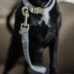 Kentucky Dogwear Hundeleine Wool -Trixie Verkäufe 2024 kentucky dogwear hondenlijn wool 219689 0500 none