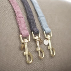 Kentucky Dogwear Hundeleine Wool -Trixie Verkäufe 2024 kentucky dogwear hondenlijn wool 219690 0500 none