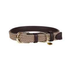 Kentucky Dogwear Nylon Hundehalsband -Trixie Verkäufe 2024 kentucky dogwear nylon hondenhalsband 219176 0500 none