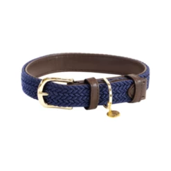 Kentucky Dogwear Nylon Hundehalsband -Trixie Verkäufe 2024 kentucky dogwear nylon hondenhalsband 219180 0500 none