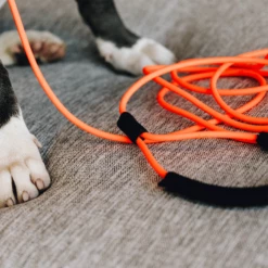 Kentucky Dogwear Schleppleine Soft Rubber 13 Kentucky Dogwear Schleppleine Soft Rubber -Trixie Verkäufe 2024 kentucky dogwear sleeplijn soft rubber 219203 0500 none