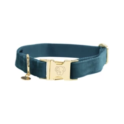 Kentucky Dogwear Velvet Hundehalsband -Trixie Verkäufe 2024 kentucky dogwear velvet hondenhalsband 219231 0500 none