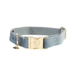 Kentucky Dogwear Velvet Hundehalsband -Trixie Verkäufe 2024 kentucky dogwear velvet hondenhalsband 219232 0500 none
