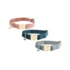 Kentucky Dogwear Velvet Hundehalsband 1 Kentucky Dogwear Velvet Hundehalsband -Trixie Verkäufe 2024 kentucky dogwear velvet hondenhalsband 219233 0500 none