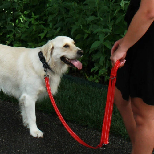 KONG Adjustable Leash 4 KONG Adjustable Leash – Bild 2