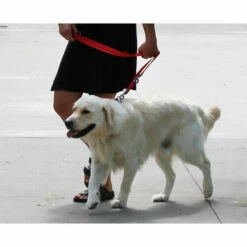 KONG Adjustable Leash 11 KONG Adjustable Leash -Trixie Verkäufe 2024 kong adjustable leash zwart 176941 0500 none