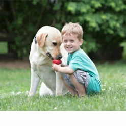 KONG Classic -Trixie Verkäufe 2024 kong classic 98642 0500 none