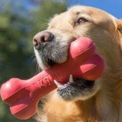 KONG Goodie Bone -Trixie Verkäufe 2024 kong goodie bone 194186 0500 none