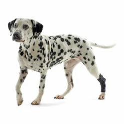 Kruuse Rehab Fersenschutz