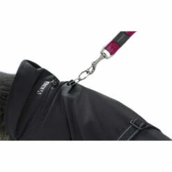 Kruuse Rehab Hundedecke - Jacke -Trixie Verkäufe 2024 kruuse rehab hondendeken 108004 0500 none