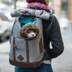 Kurgo K9 Rucksack -Trixie Verkäufe 2024 kurgo k9 rugzak 208103 0500 none