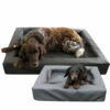 Lounge Dogbed -Trixie Verkäufe 2024 lounge dogbed 220787 0500 none