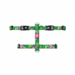 Max & Molly H-Geschirr - Tropical