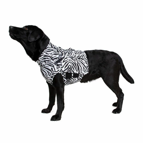Medical Pet Top Shirt Zebra 3 Medical Pet Top Shirt Zebra