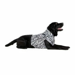 Medical Pet Top Shirt Zebra 7 Medical Pet Top Shirt Zebra -Trixie Verkäufe 2024 medical pet top shirt zebraprint 150704 0500 none
