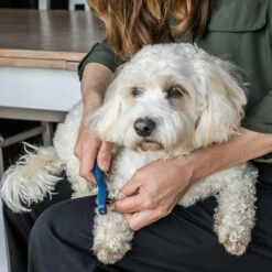 Mikki Doodle De-Matter 9 Mikki Doodle De-Matter -Trixie Verkäufe 2024 mikki doodle de matter 194483 0500 none